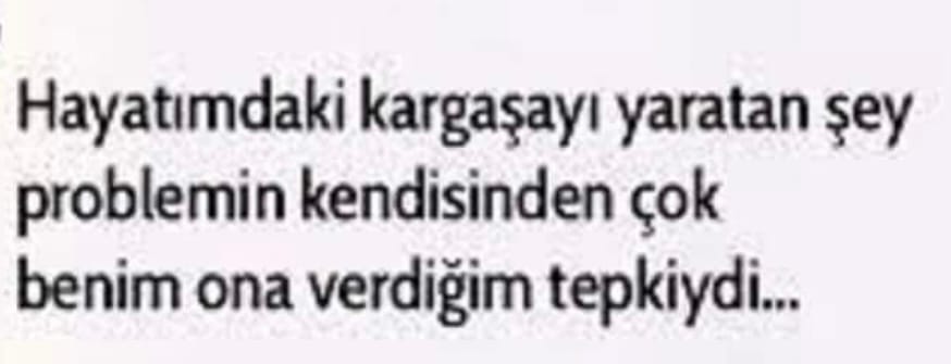 Hamamböceği teorisi: yazısından bir görsel
