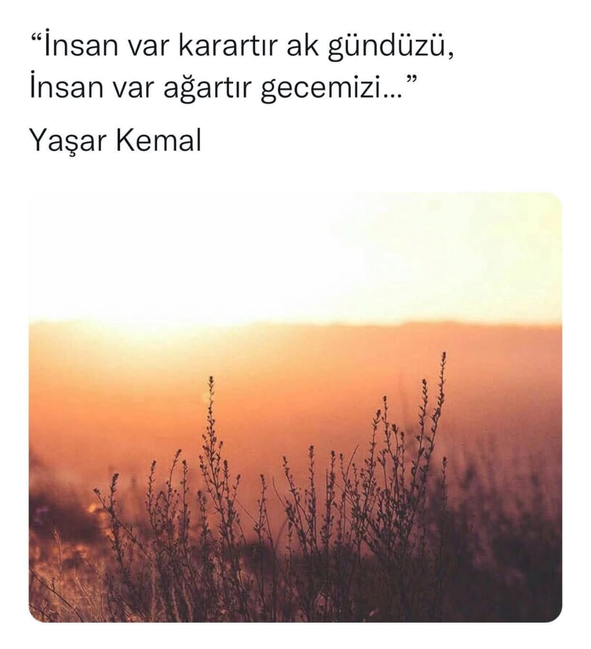 Arkadaşlar…. yazısından bir görsel