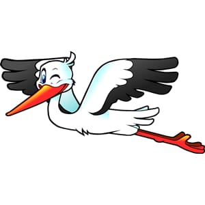 NEDEN "LEYLEK"? yazısından bir görsel